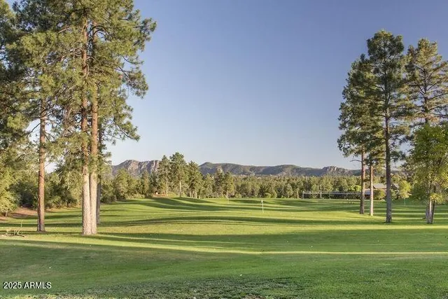 a view of an outdoor space and yard