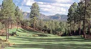 a view of a tree with a park