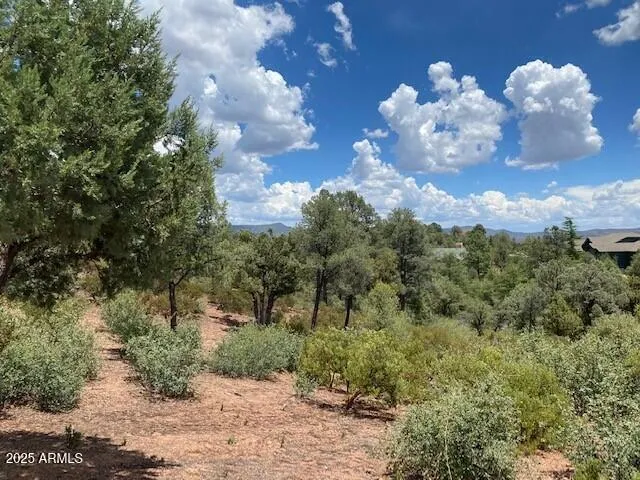 a view of a flower in between the bunch of trees
