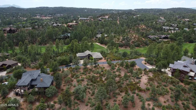 a view of a bunch of trees