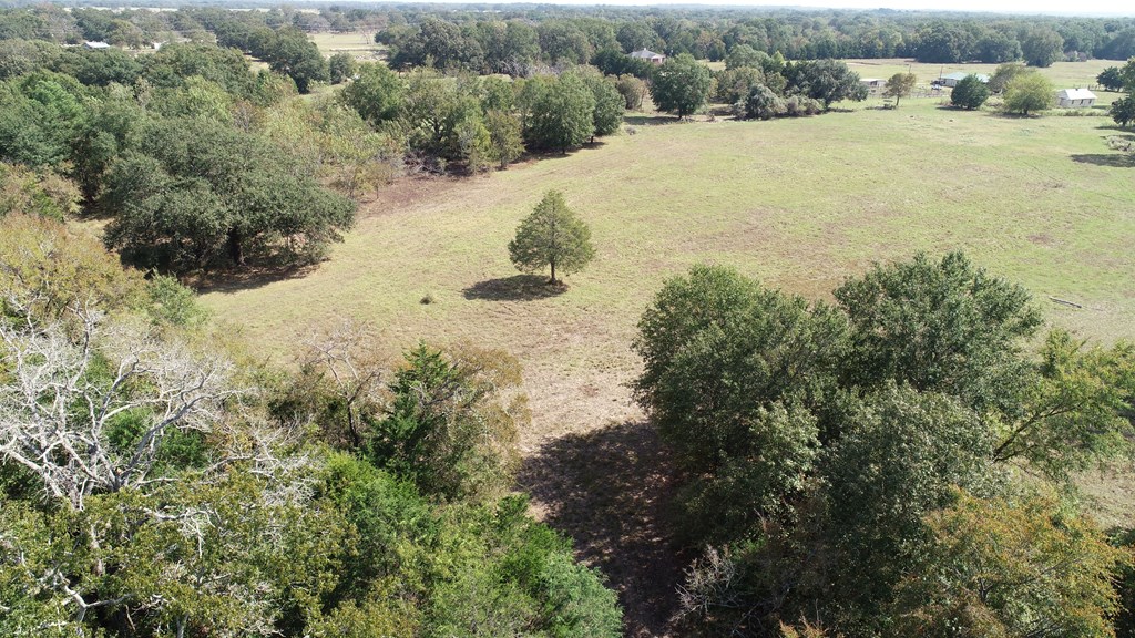 2703 AN County Road Tennessee Colony, TX 75861 - Photo 8 of 30