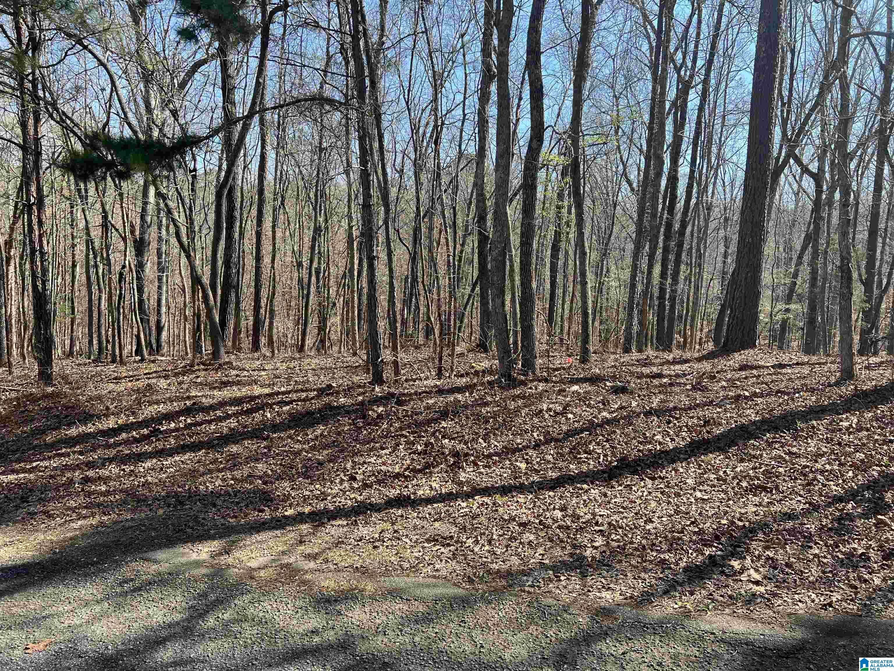 0 Springhollow Drive, Unit 12 Ashville, AL 35953 - Photo 17 of 17
