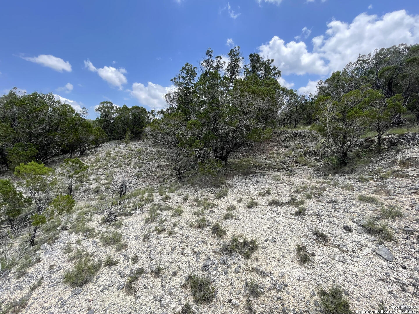 218 PR 1748 Mico, TX 78056 - Photo 11 of 16 a view of a yard with a tree