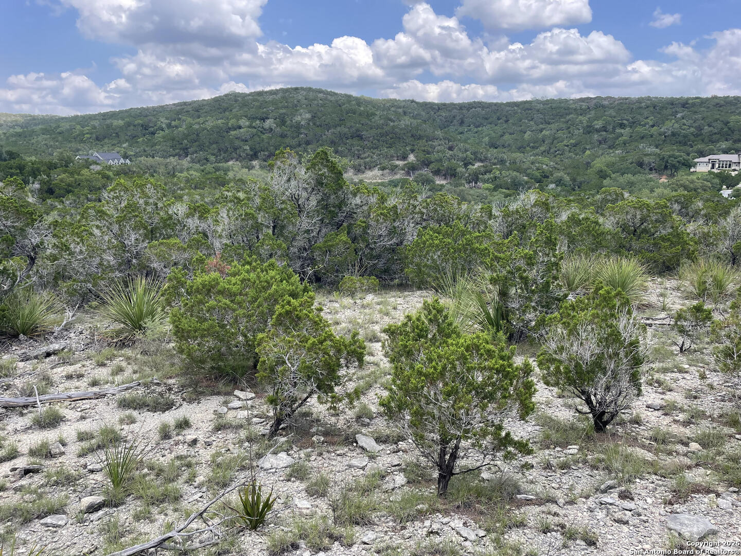 218 PR 1748 Mico, TX 78056 - Photo 13 of 16 a view of a city with lush green forest