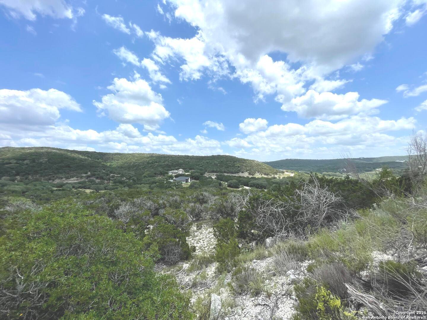 218 PR 1748 Mico, TX 78056 - Photo 15 of 16 a view of a city with lush green forest