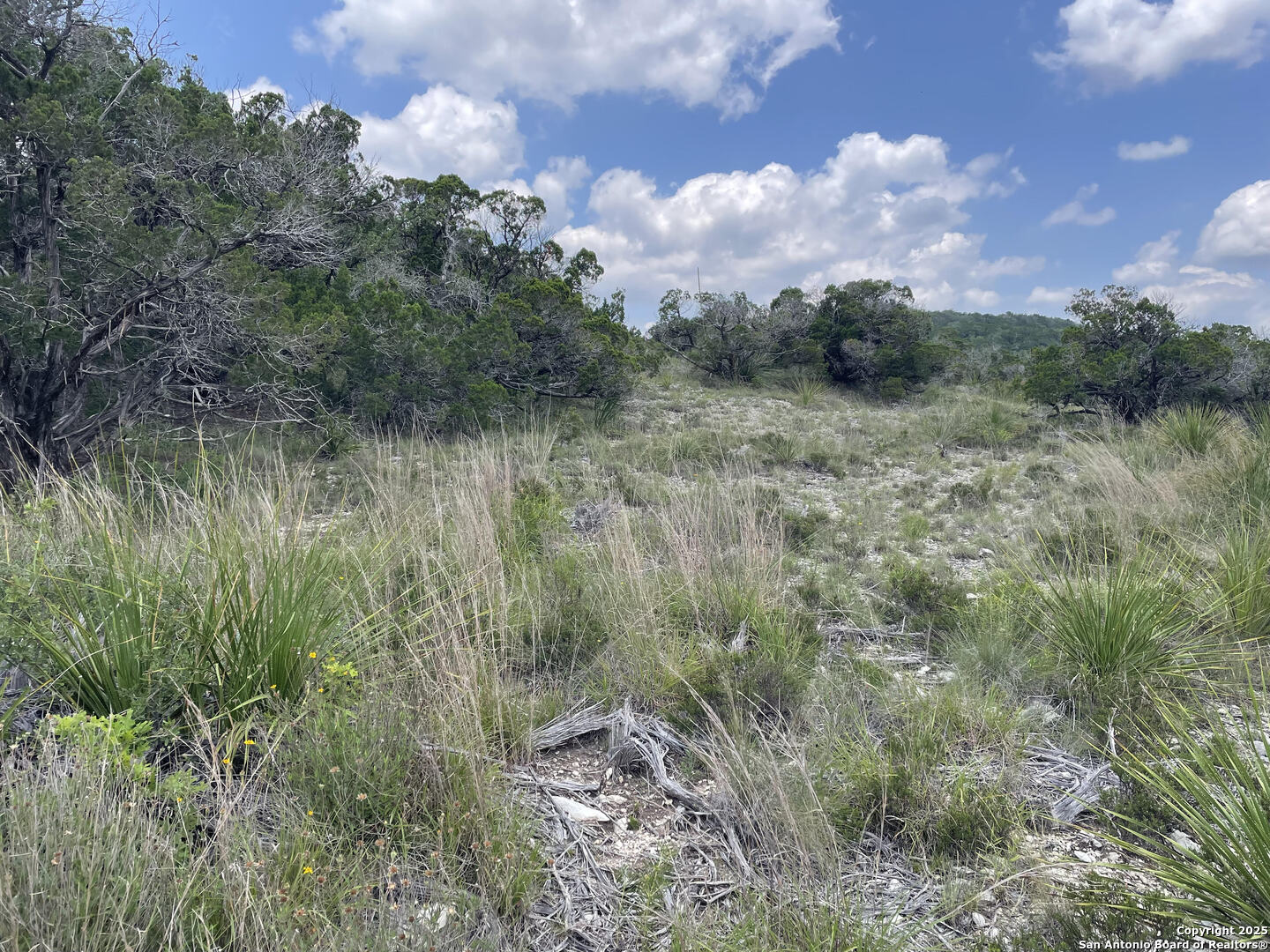 218 PR 1748 Mico, TX 78056 - Photo 2 of 16 a view of a lake with green space