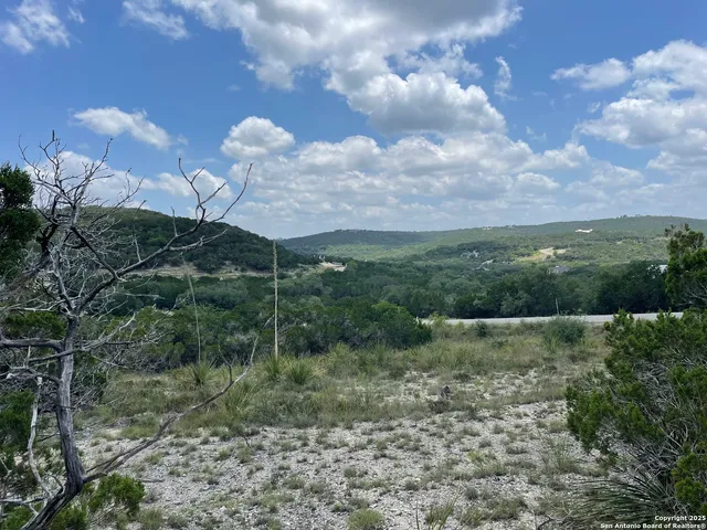 a view of a big yard with potted plants and large tree