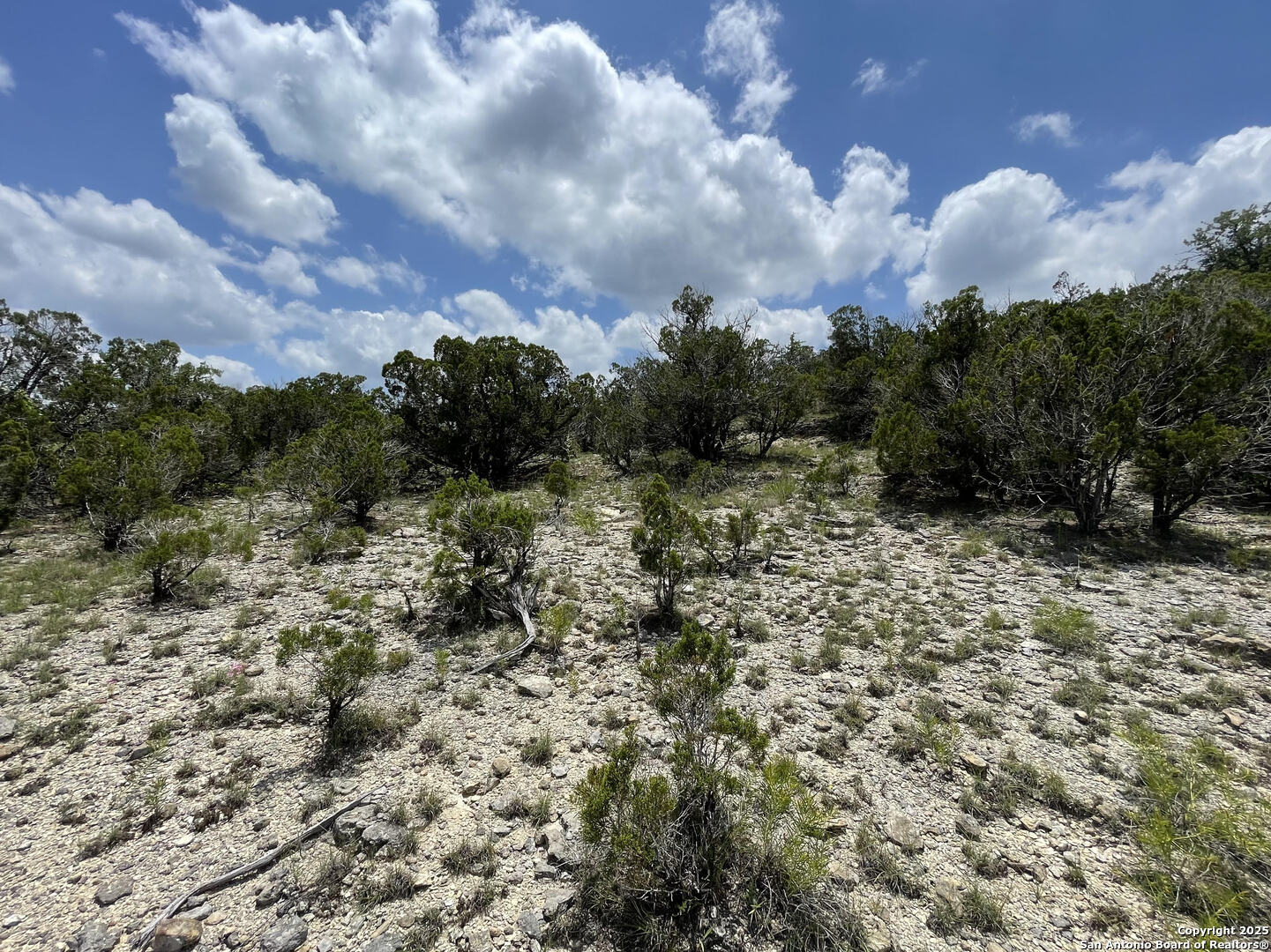 218 PR 1748 Mico, TX 78056 - Photo 10 of 16 a view of a big yard with lots of green space
