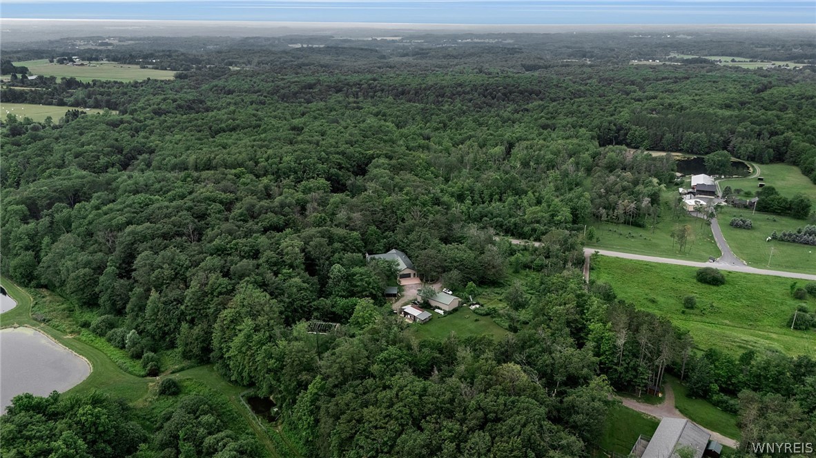 1589 Bailey Road Bennington, NY 14037 - Photo 50 of 50