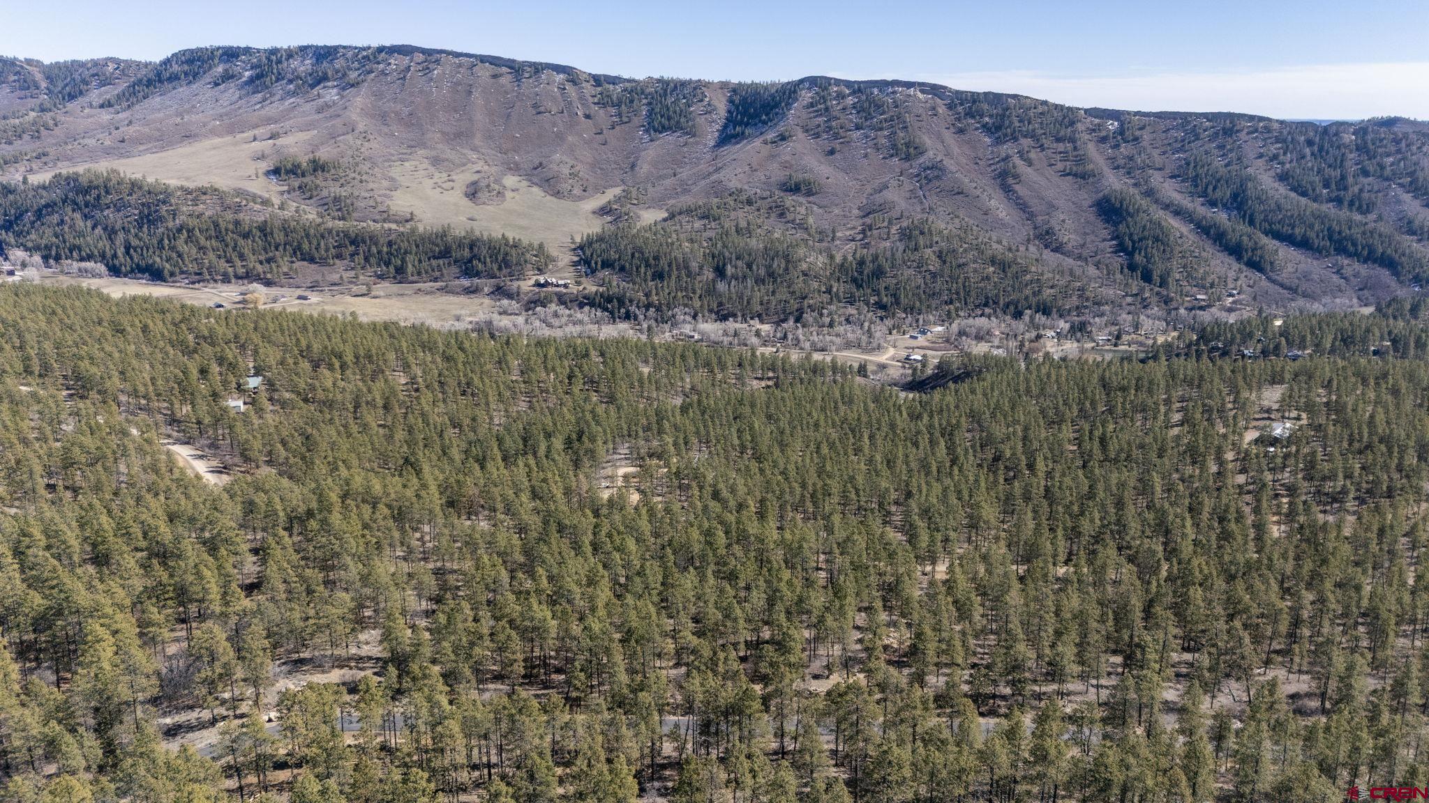 Lot 5 Taylor Ranch Durango, CO 81301 - Photo 8 of 13 a view of a dry yard with mountains in the background