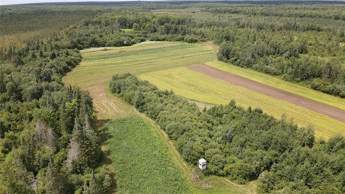 N8105 Swamp Road Road Tomahawk, WI 54487 - Photo 2 of 25