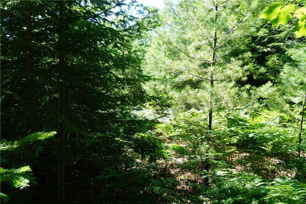 150 Allagash Road Beaver Cove, ME 04441 - Photo 3 of 4 Photo