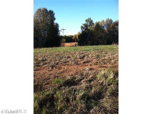 Tbd Phillips Road Sandy Ridge, NC 27046 - Photo 2 of 7 Land.