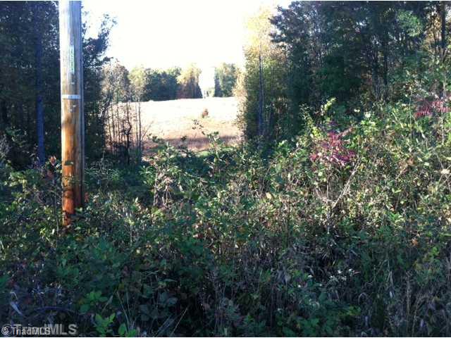 Tbd Phillips Road Sandy Ridge, NC 27046 - Photo 3 of 7 Land.
