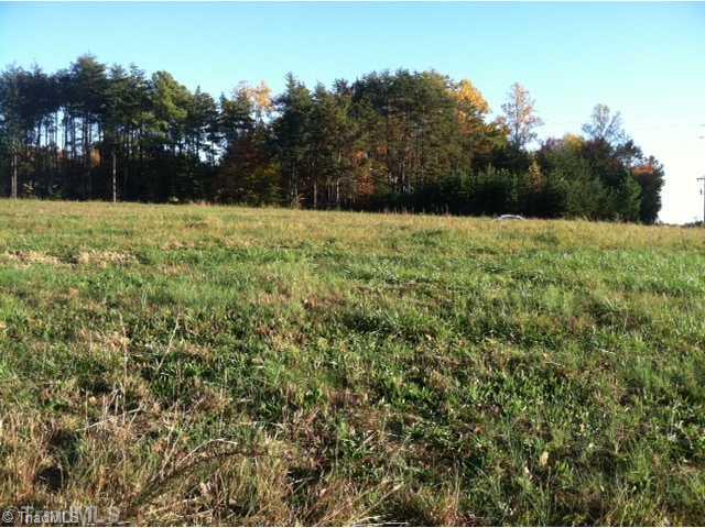 Tbd Phillips Road Sandy Ridge, NC 27046 - Photo 4 of 7 Land.