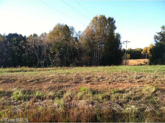 Tbd Phillips Road Sandy Ridge, NC 27046 - Photo 6 of 7 Land.