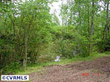 1021 Juniper Creek Road Keysville, VA 23947 - Photo 3 of 5 Gallery Image 3