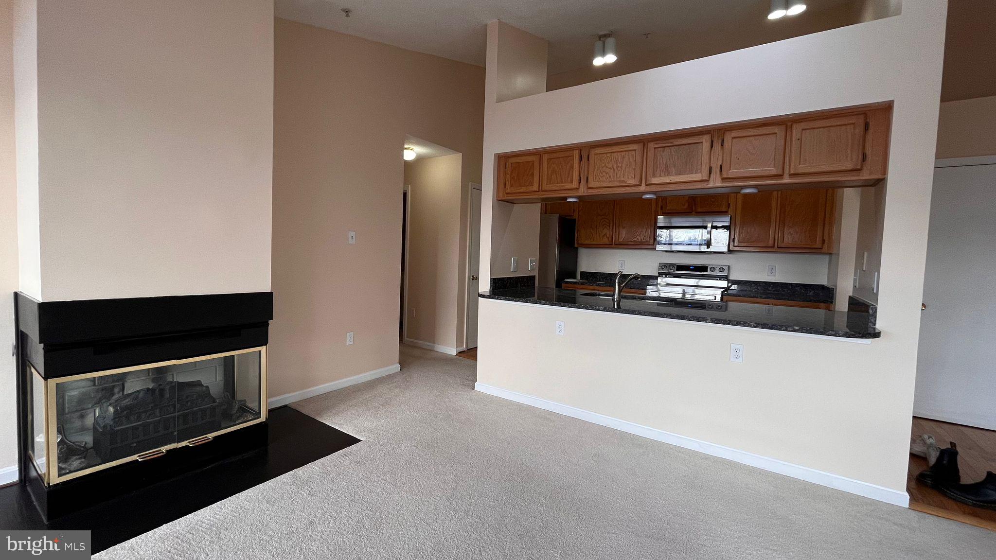 2802 Clear Shot Drive, Unit 1236 Silver Spring, MD 20906 - Photo 10 of 31