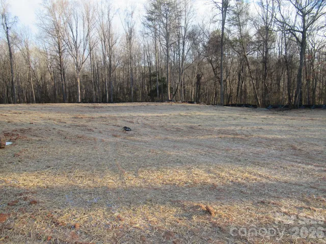 a view of wall with trees