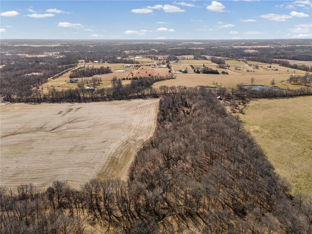 Lot 1 Southwest Brangus Road Lathrop, MO 64465 - Photo 21 of 21