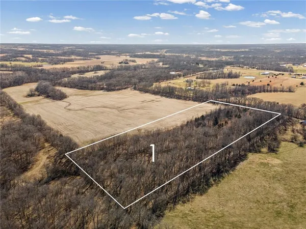 $223,200 | Lot 1 Southwest Brangus Road, Lathrop, MO 64465