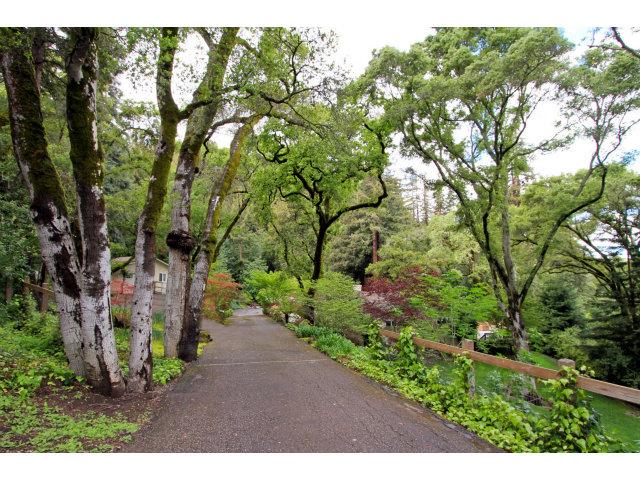 450 Summit Spring Road Woodside, CA 94062 - Photo 14 of 19 a view of a yard with plants and large trees