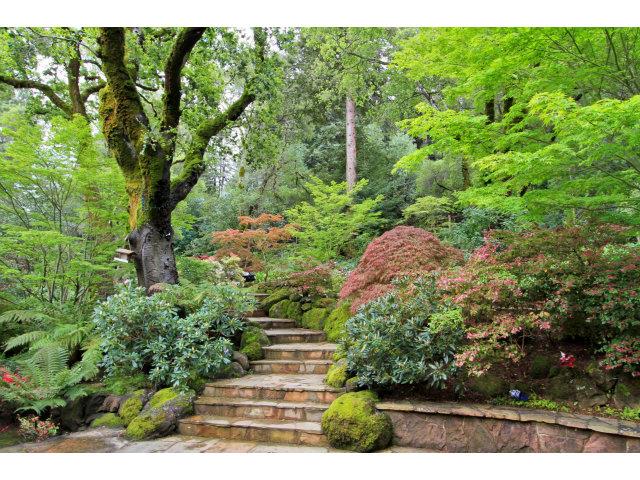 450 Summit Spring Road Woodside, CA 94062 - Photo 17 of 19 a view of a garden