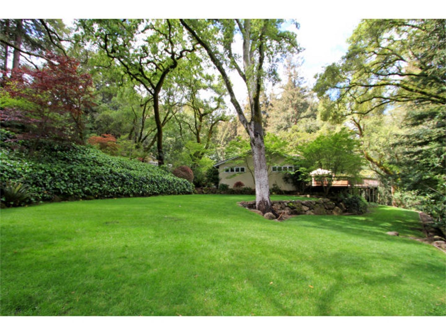 450 Summit Spring Road Woodside, CA 94062 - Photo 3 of 19 a view of a park with large trees