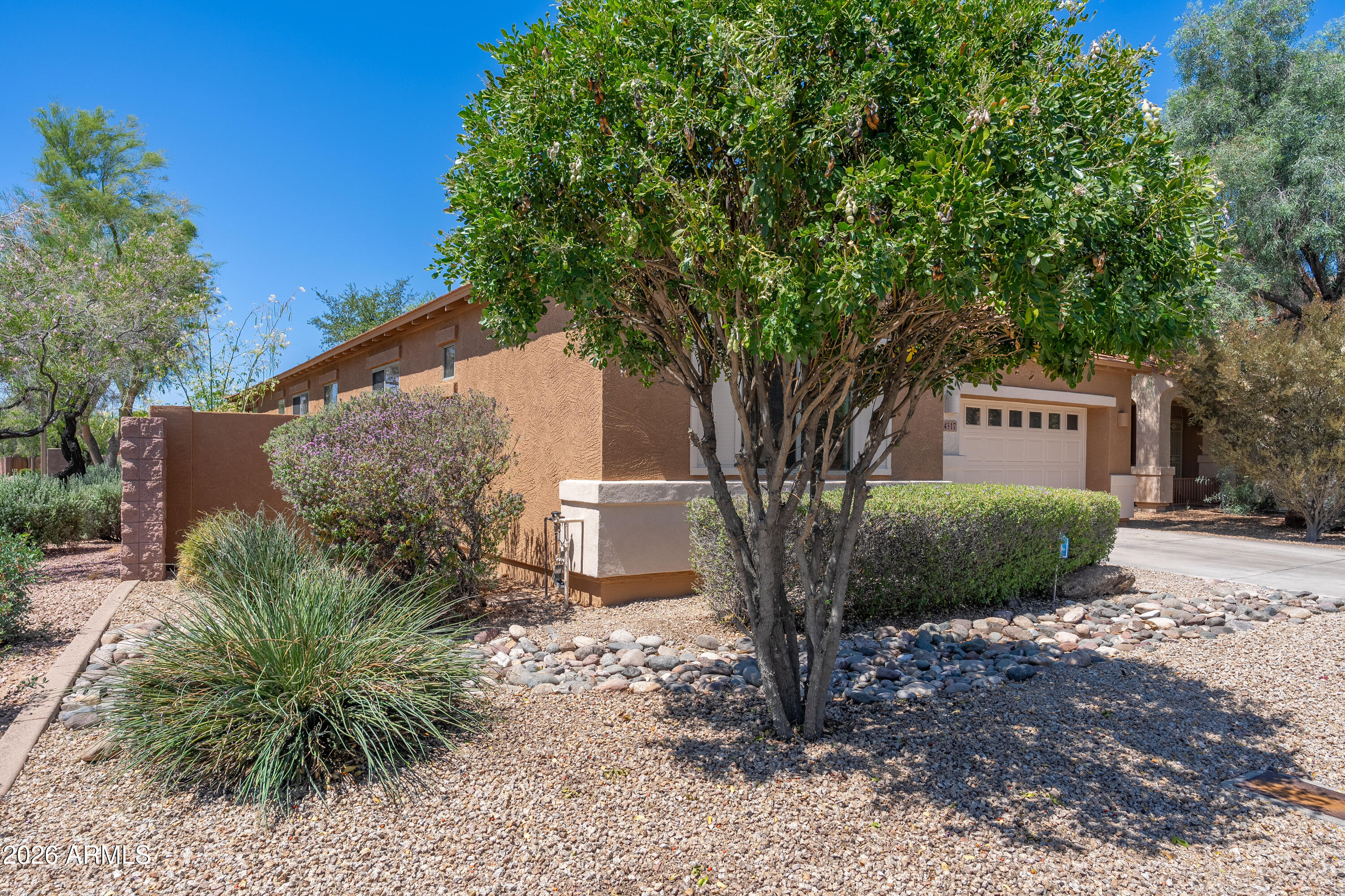 4317 East Folgers Road Phoenix, AZ 85050 - Photo 3 of 40 a tree in front of a white house