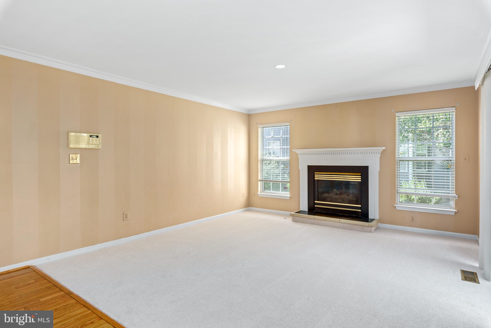46490 Cedarhurst Drive Sterling, VA 20165 - Photo 11 of 37 Family Room Gas Fireplace