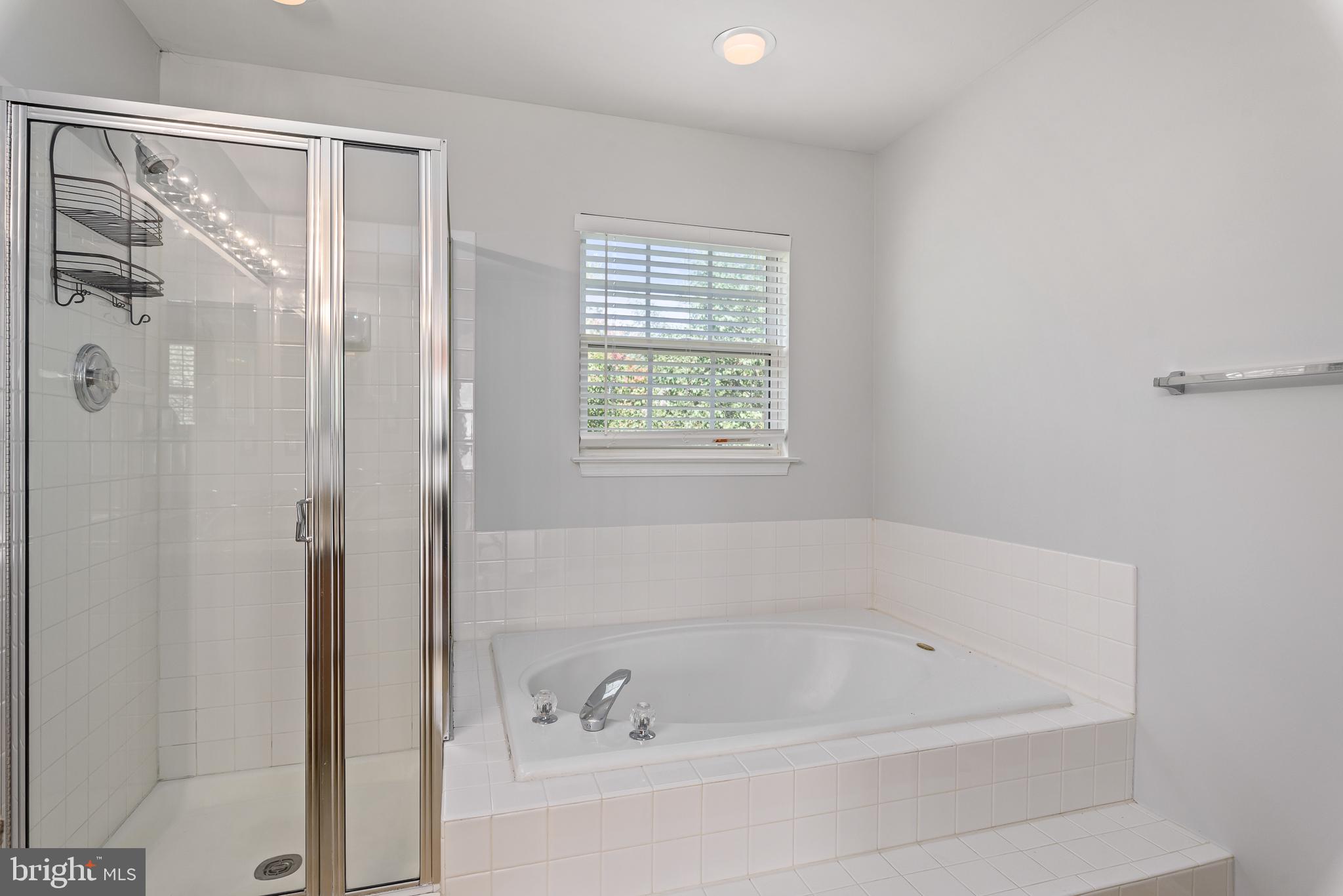 46490 Cedarhurst Drive Sterling, VA 20165 - Photo 25 of 37 Master Bath Soaking Tub
