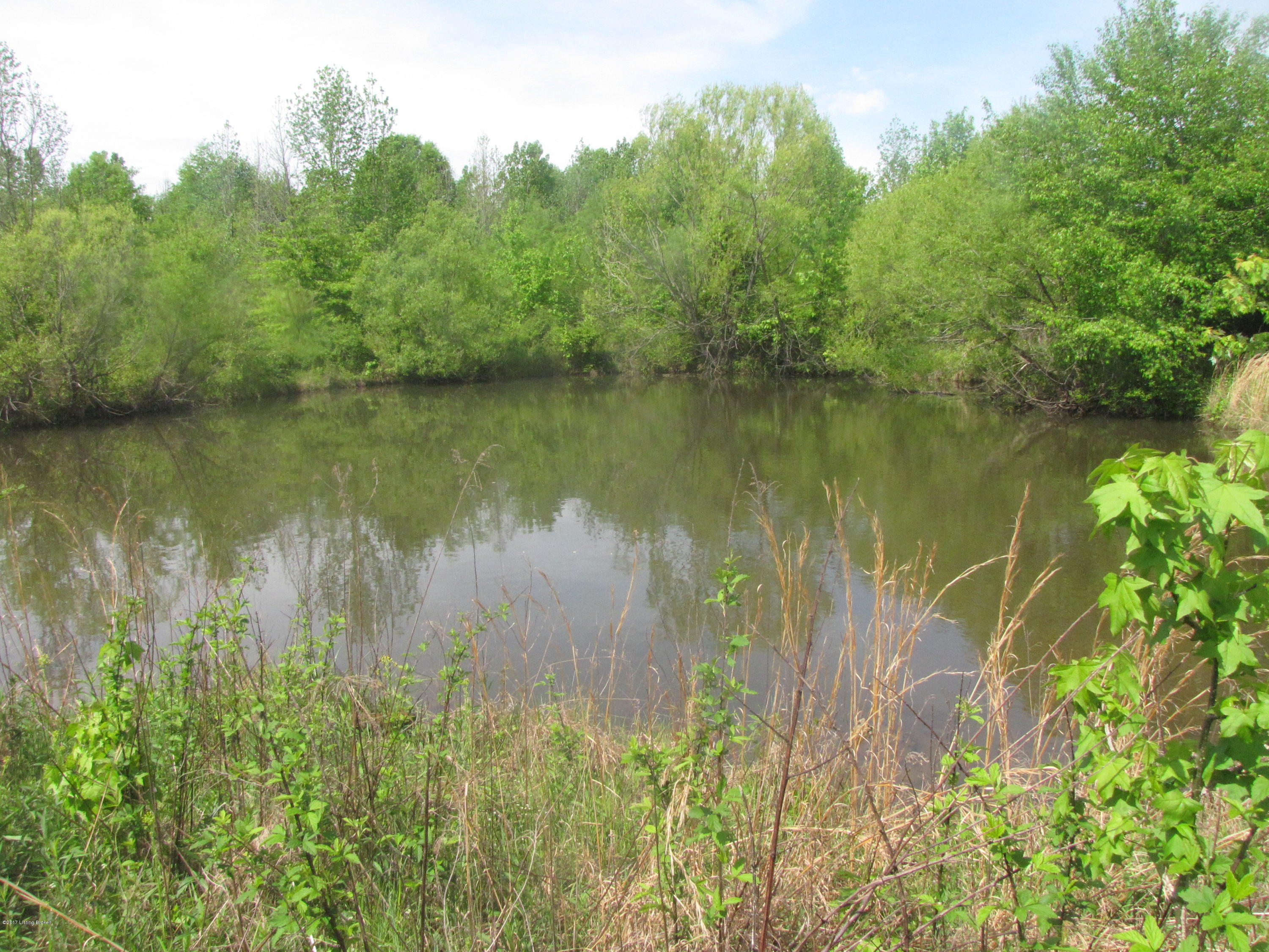 728 North Stillwell Road Boston, KY 40107 - Photo 5 of 15 IMG_5827