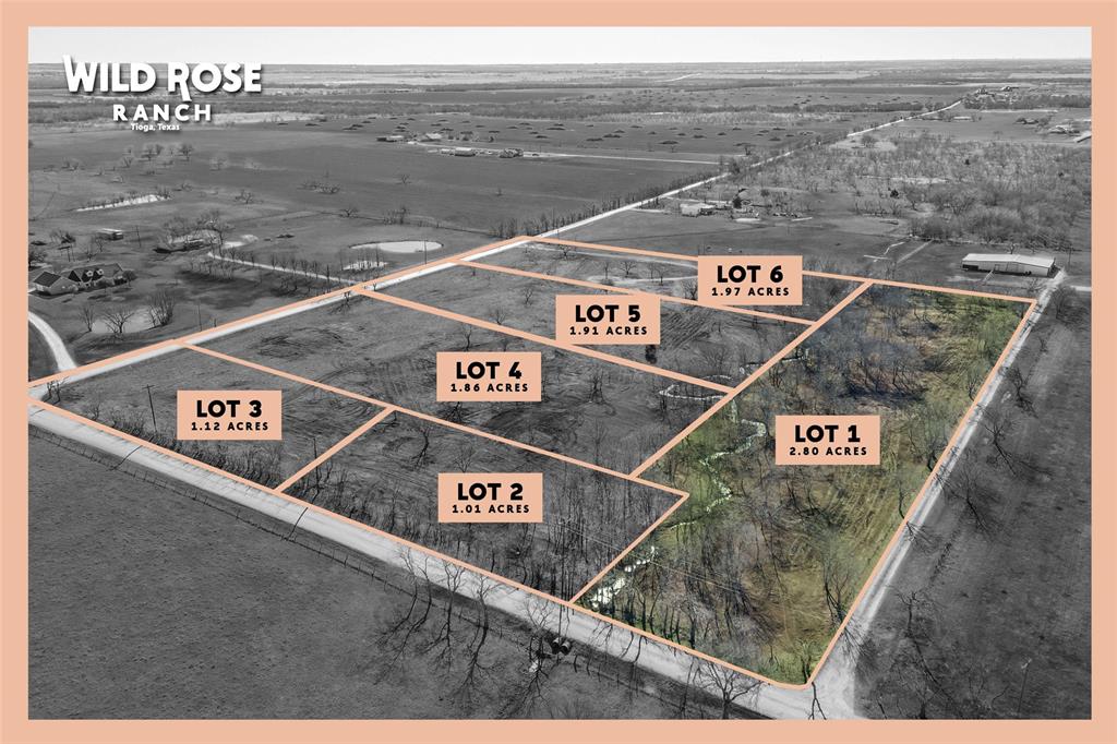 Lot 2-1.01 Lot 2-1.01 Acres Airport Road Tioga, TX 76271 - Photo 6 of 28