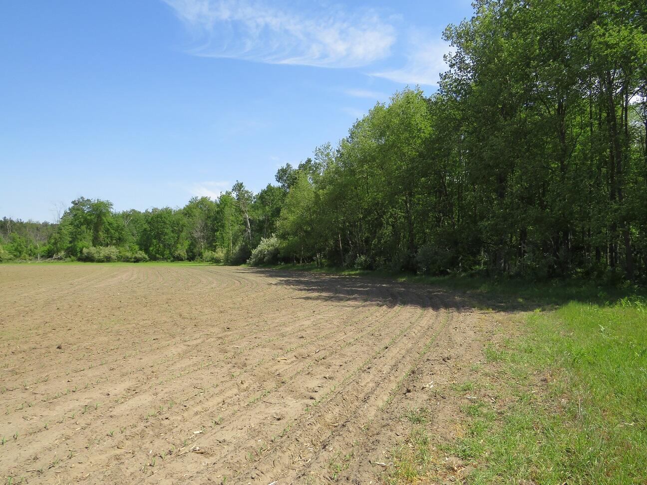 4670 Rescue Road Owendale, MI 48754 - Photo 68 of 97 IMG_6490