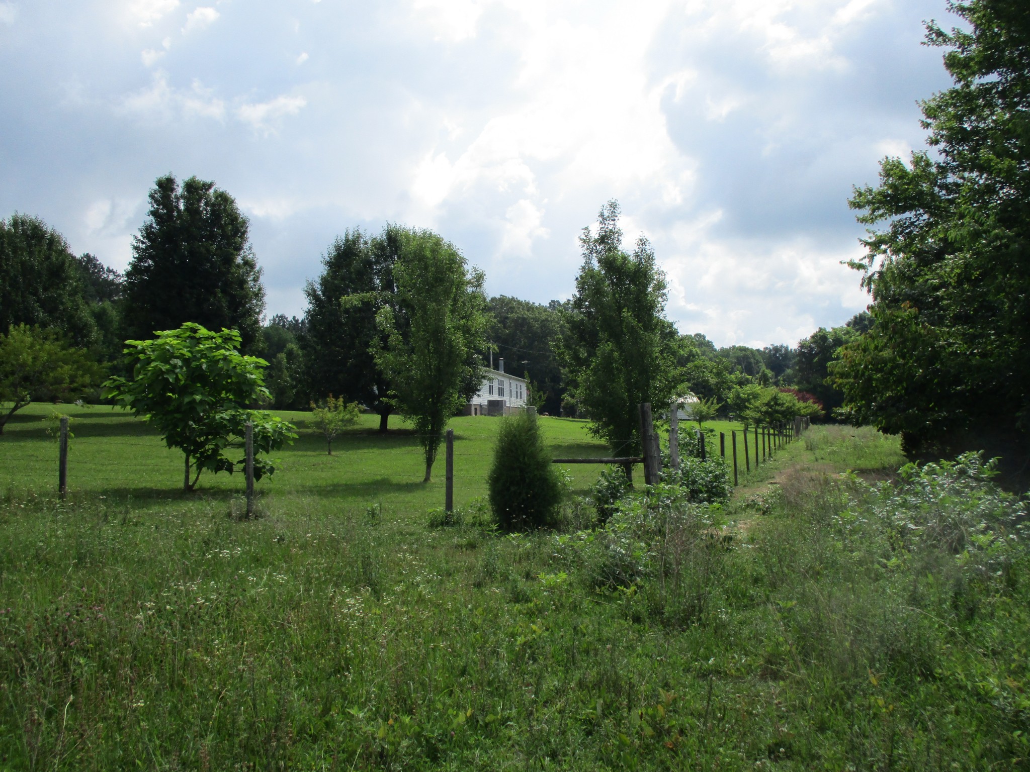 1378 2 Mile Road Burns, TN 37029 - Photo 4 of 25 Gallery Image 4