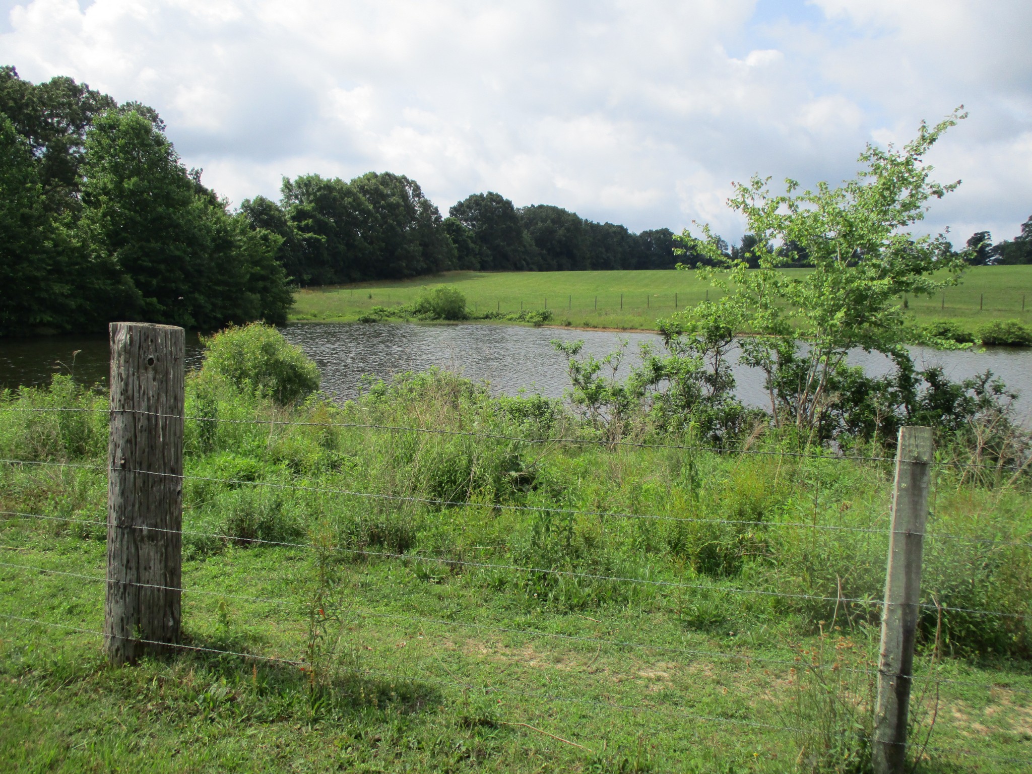 1378 2 Mile Road Burns, TN 37029 - Photo 6 of 25 Gallery Image 6
