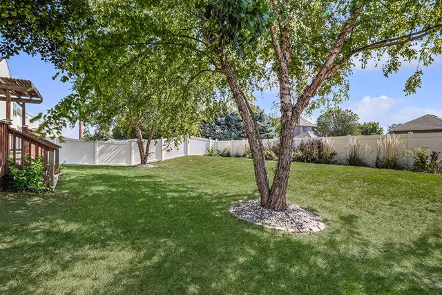 a view of a garden with large tree