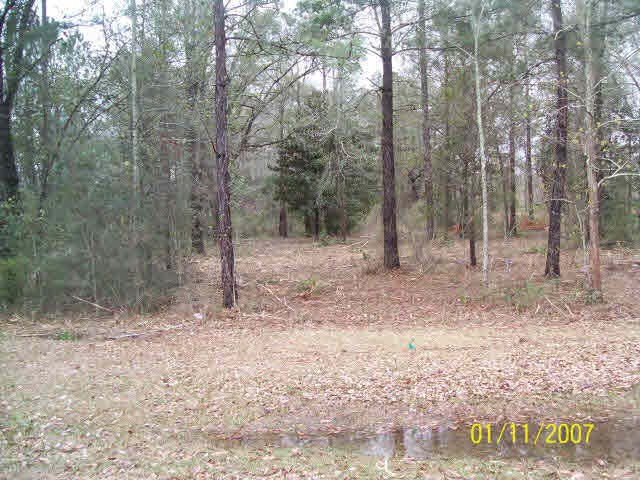 0 5th Street Bay Minette, AL 36507 - Photo 1 of 1