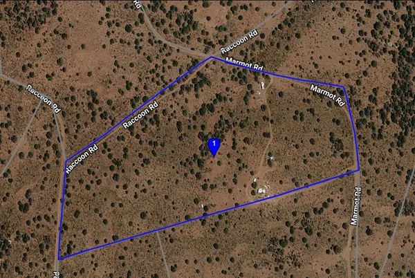 $15,000 | 20 No Name Road, Madeline, CA 96119