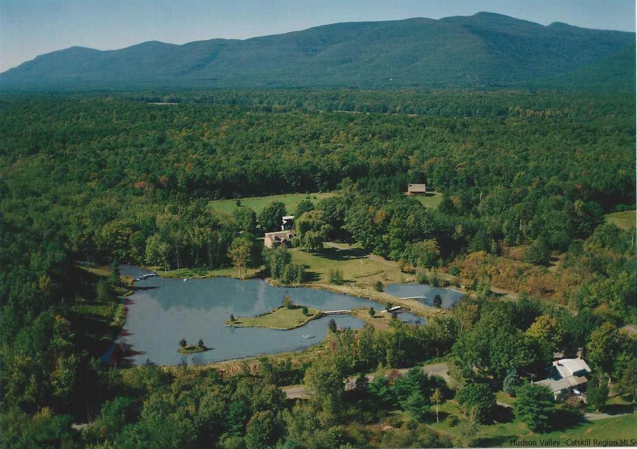 1190 High Falls Road Catskill, NY 12414 - Photo 1 of 28 Photo 1