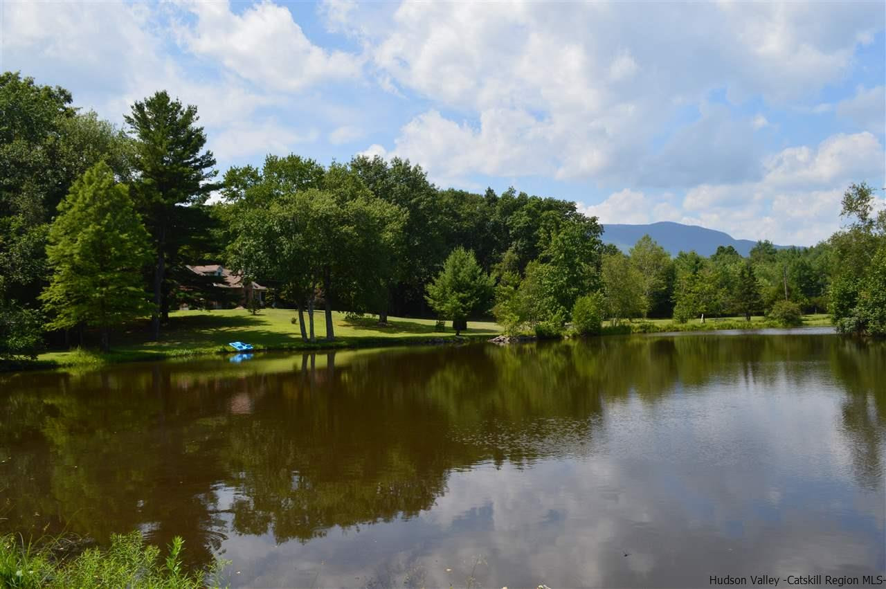 1190 High Falls Road Catskill, NY 12414 - Photo 4 of 28 Photo 4
