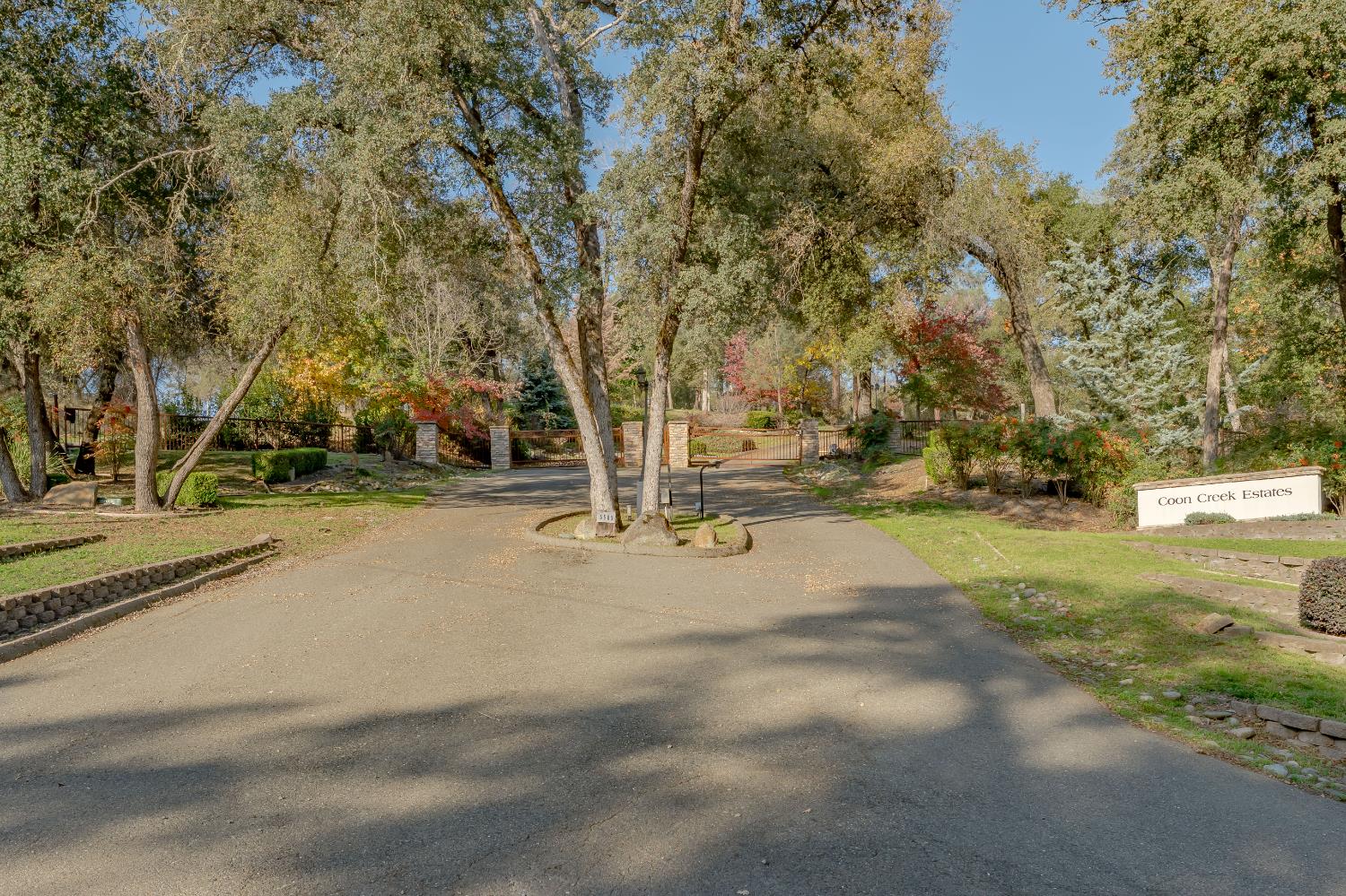 5585 Garden Bar Road Lincoln, CA 95648 - Photo 16 of 27 a view of yard with tree
