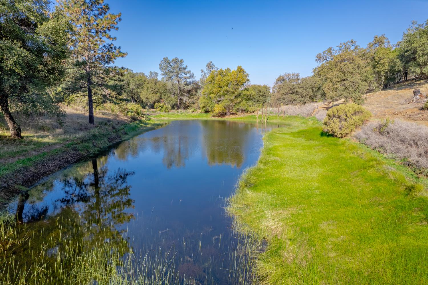 5585 Garden Bar Road Lincoln, CA 95648 - Photo 25 of 27 a view of a lake with a yard