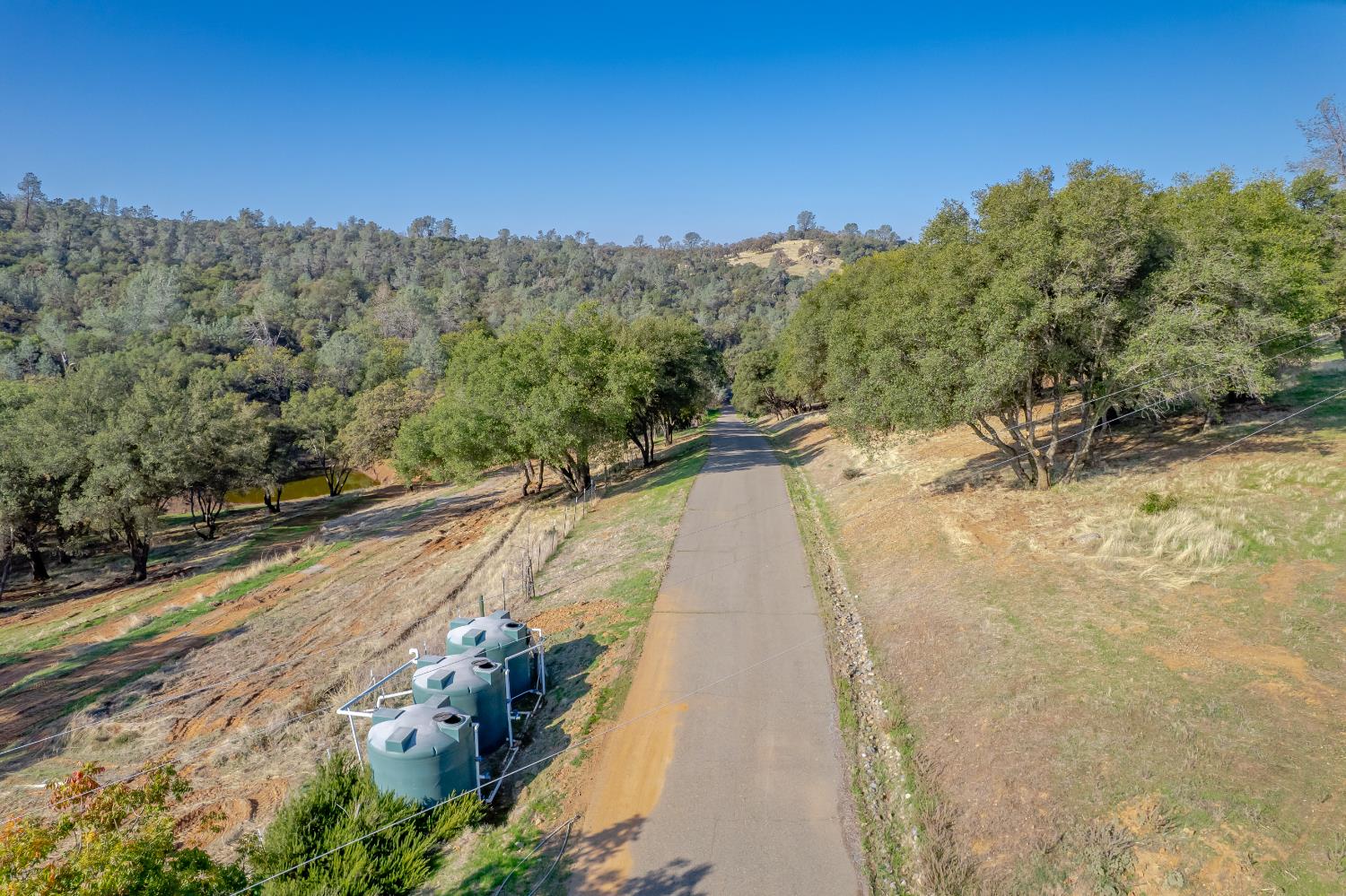 5585 Garden Bar Road Lincoln, CA 95648 - Photo 7 of 27 a view of a swimming pool with a yard
