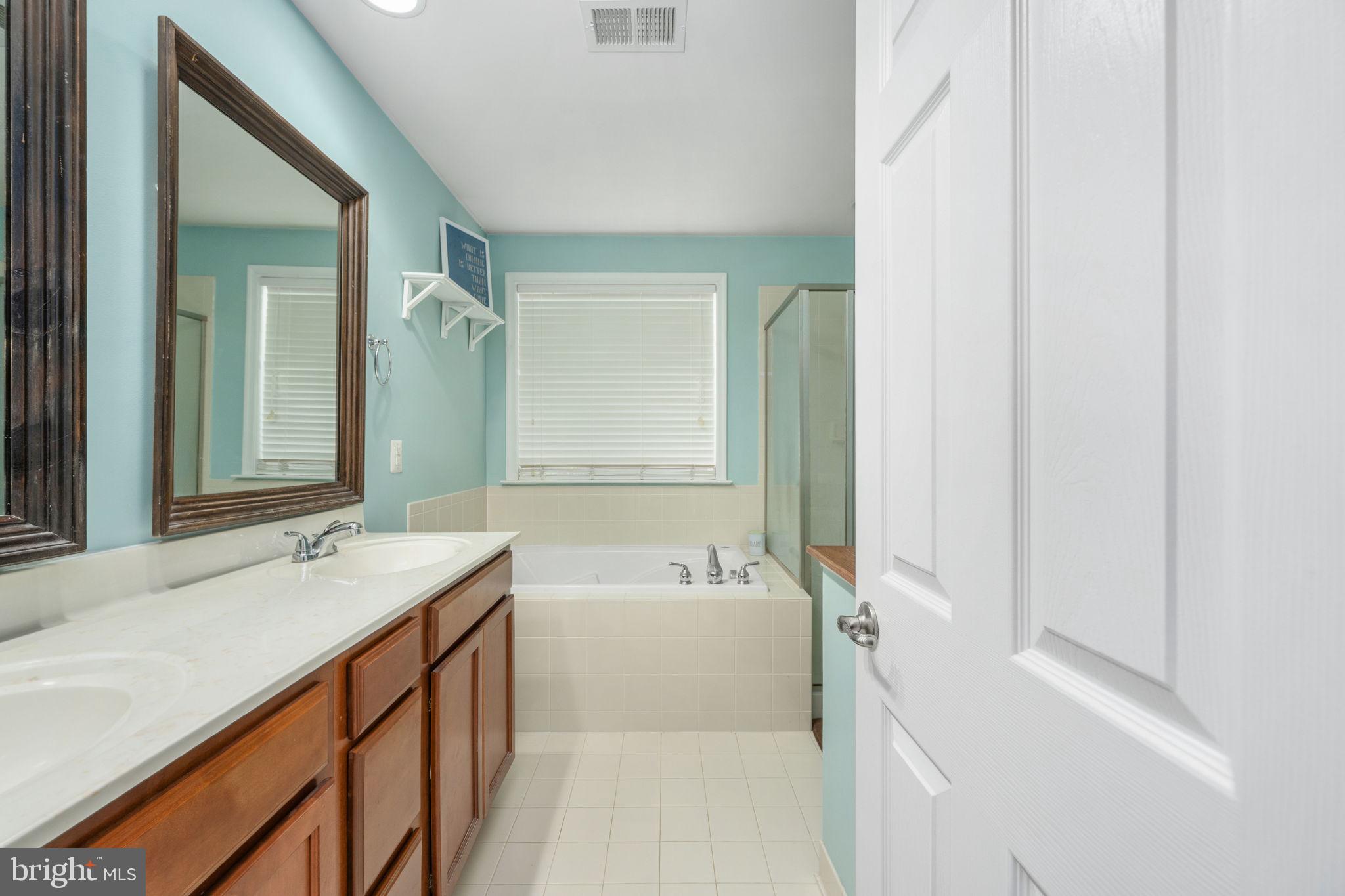 17230 Library Boulevard Ruther Glen, VA 22546 - Photo 41 of 81 a bathroom with a tub sink and mirror