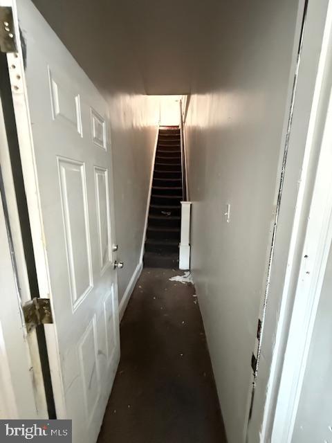 1833 South 5th Street Philadelphia, PA 19148 - Photo 3 of 25