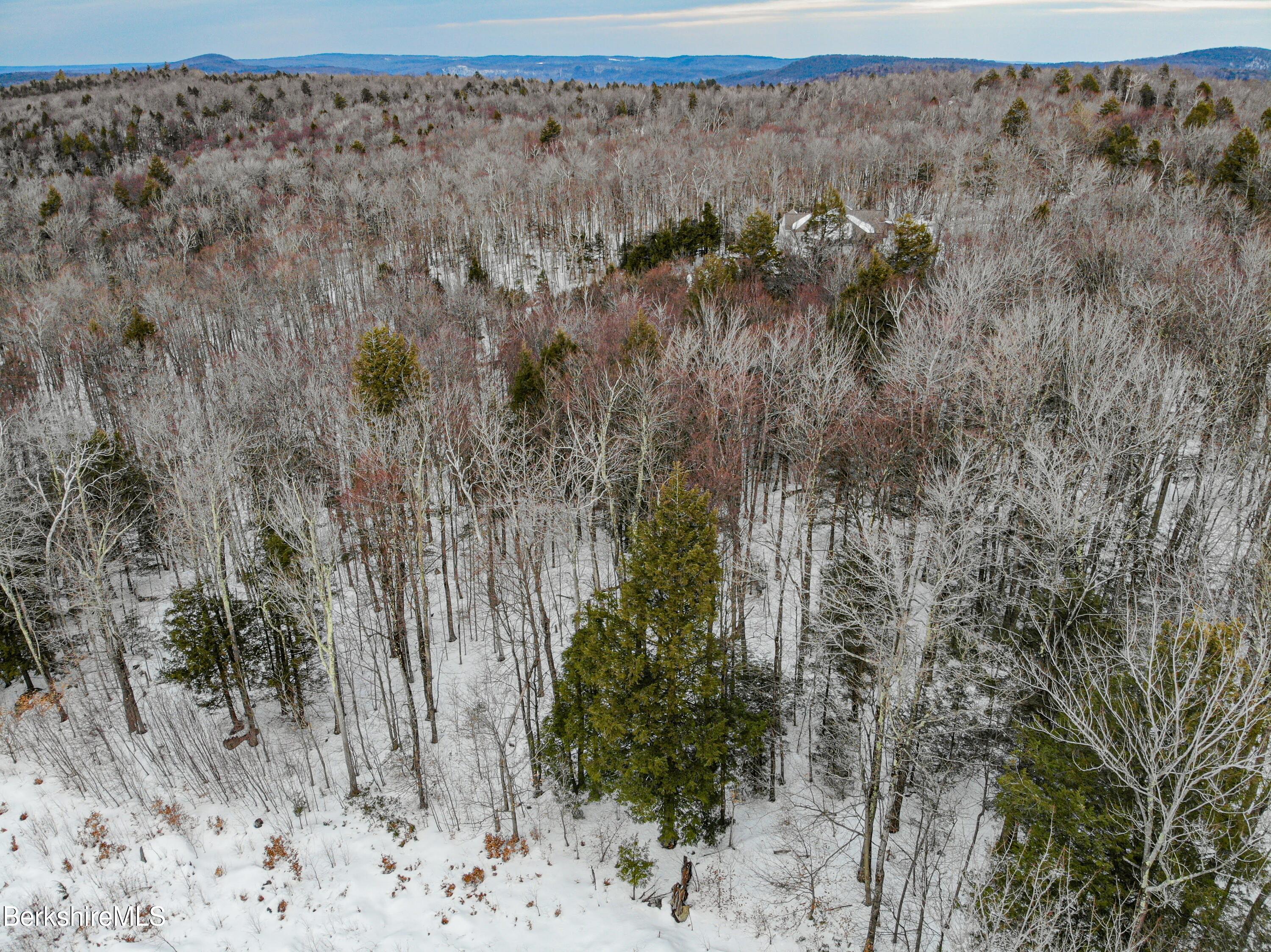 0 Valley View Road Becket, MA 01223 - Photo 4 of 10 a view of a dry yard with trees and stairs