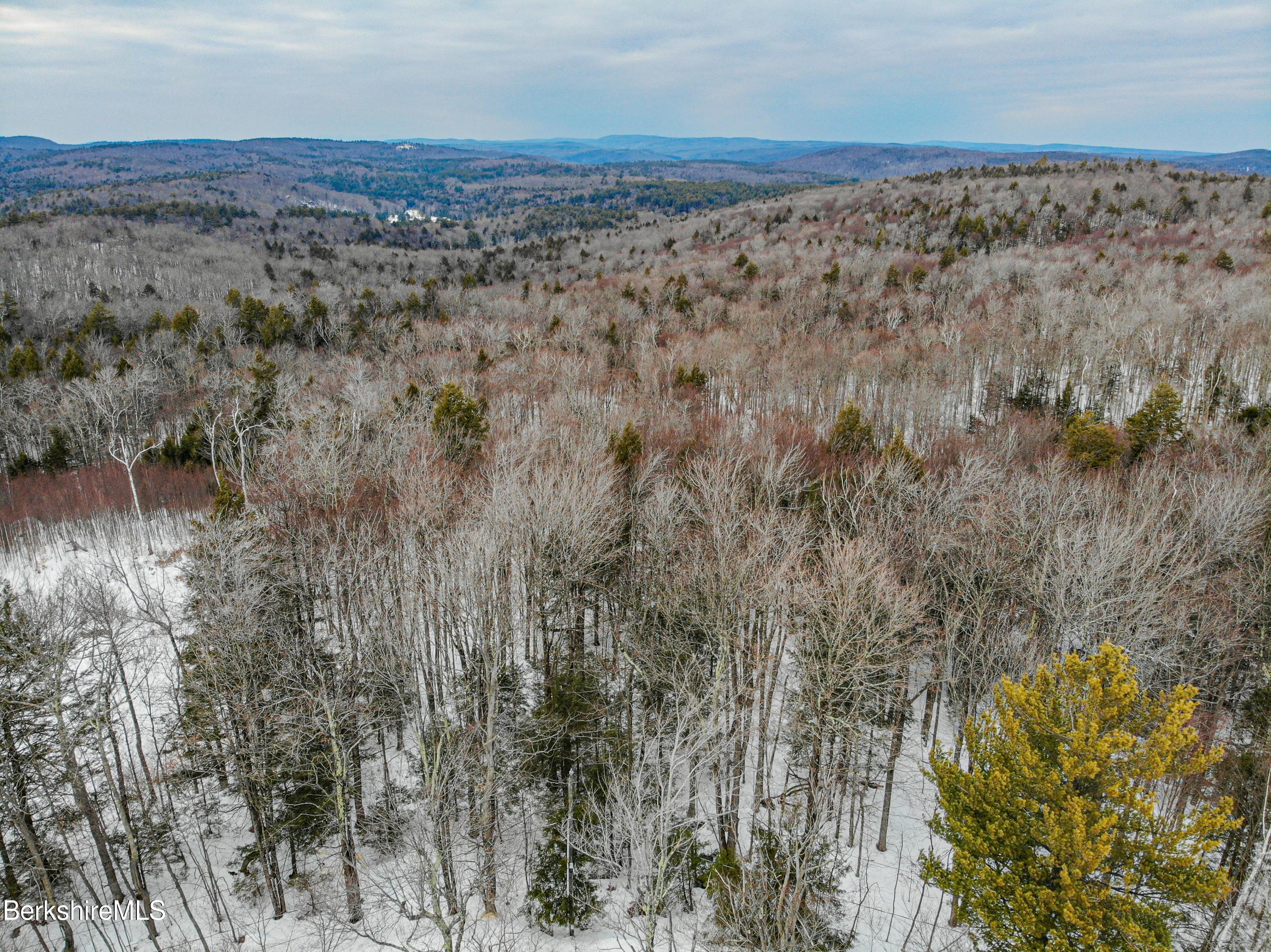 0 Valley View Road Becket, MA 01223 - Photo 6 of 10 a view of a dry yard with trees