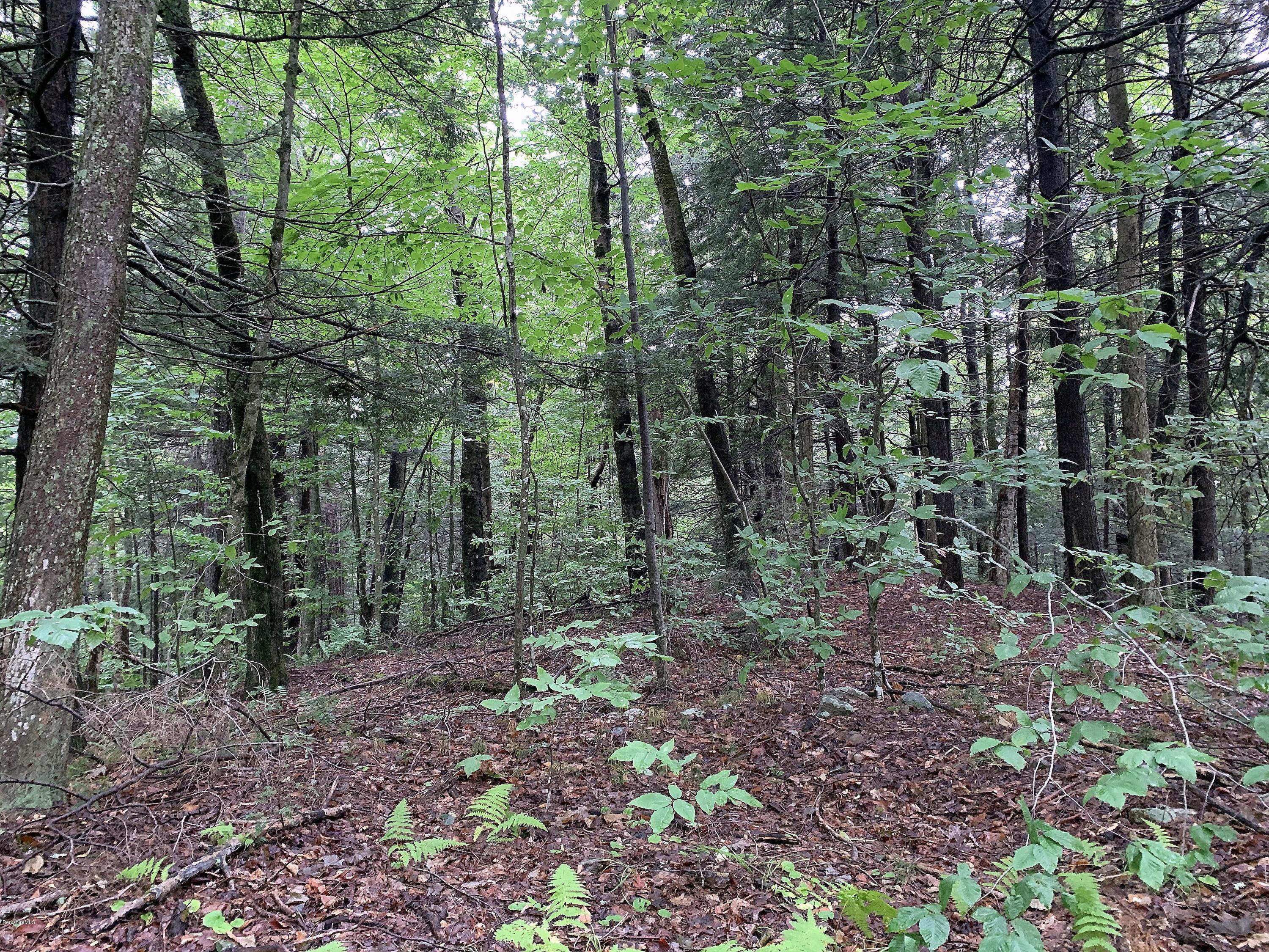 0 Valley View Road Becket, MA 01223 - Photo 7 of 10 a view of outdoor space and green space
