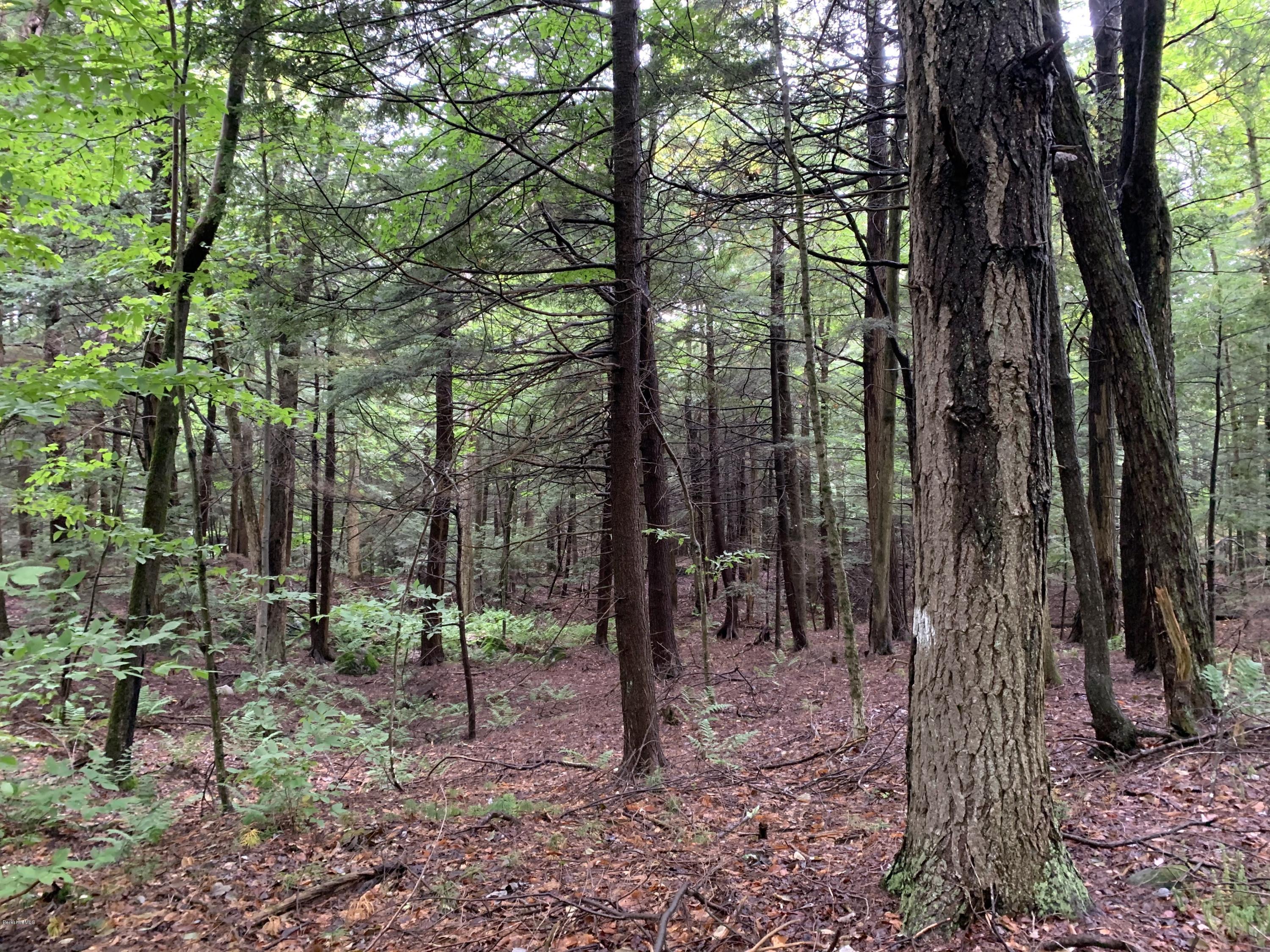 0 Valley View Road Becket, MA 01223 - Photo 8 of 10 a view of outdoor space with lots of trees